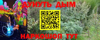 тгк Дубна