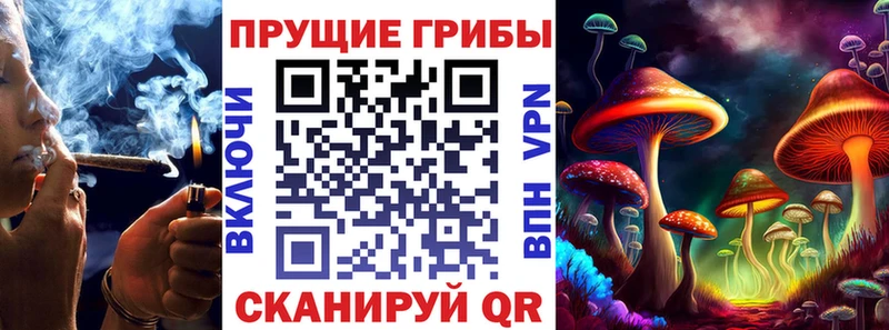 Галлюциногенные грибы мицелий наркотики кракен как зайти Махачкала