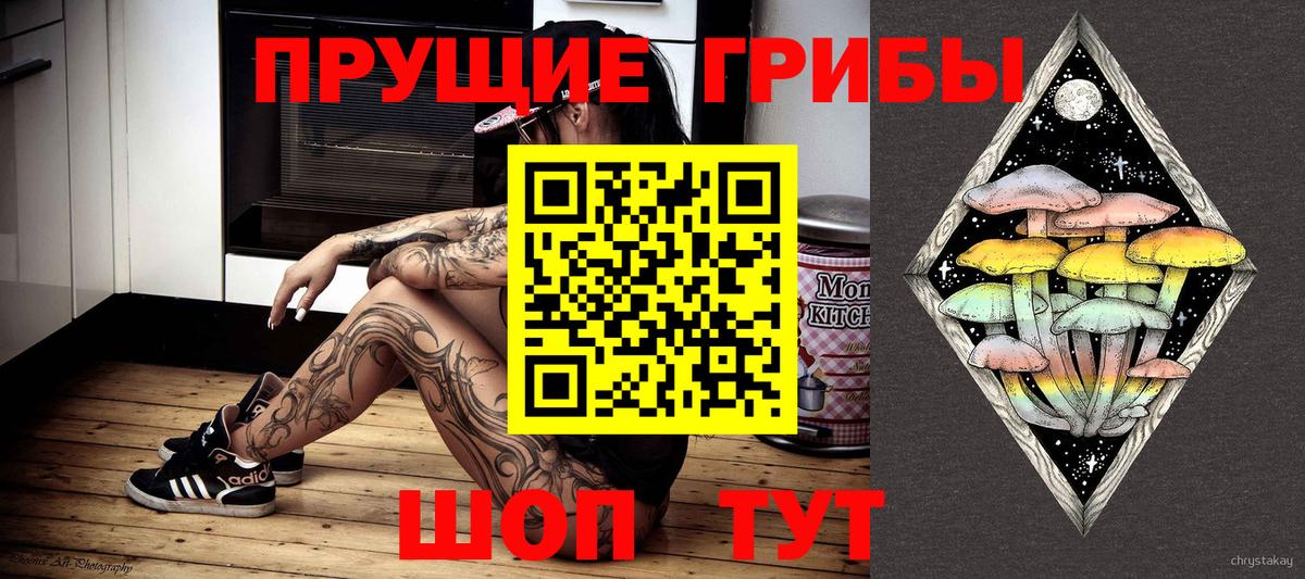 Псилоцибиновые грибы Cubensis Махачкала
