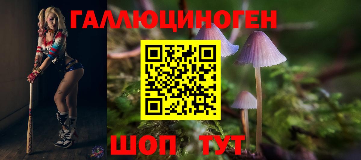 даркнет сайт  Псилоцибиновые грибы мицелий  Вход с VPN  Махачкала 