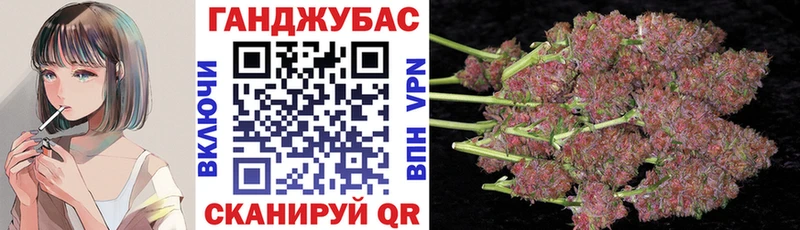 наркота  Махачкала  Конопля план 