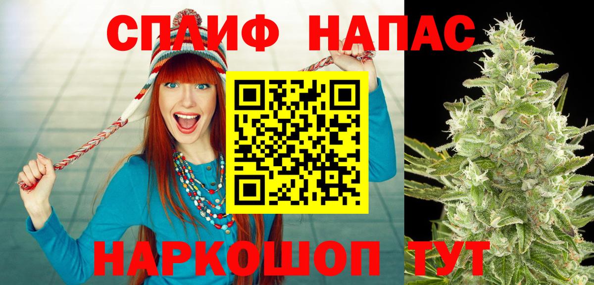 МАРИХУАНА конопля Махачкала